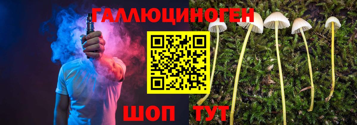 купить наркотики сайты  Вход с VPN  Коркино  Галлюциногенные грибы Cubensis 